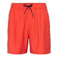 Men's Swim Shorts – Bonfire