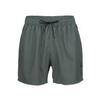 Men's Swim Shorts – North Green